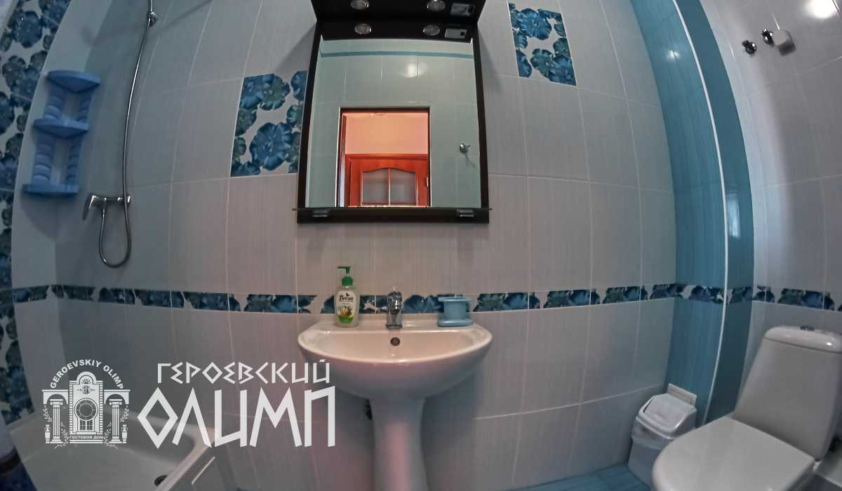 Санузел с душем и раковиной