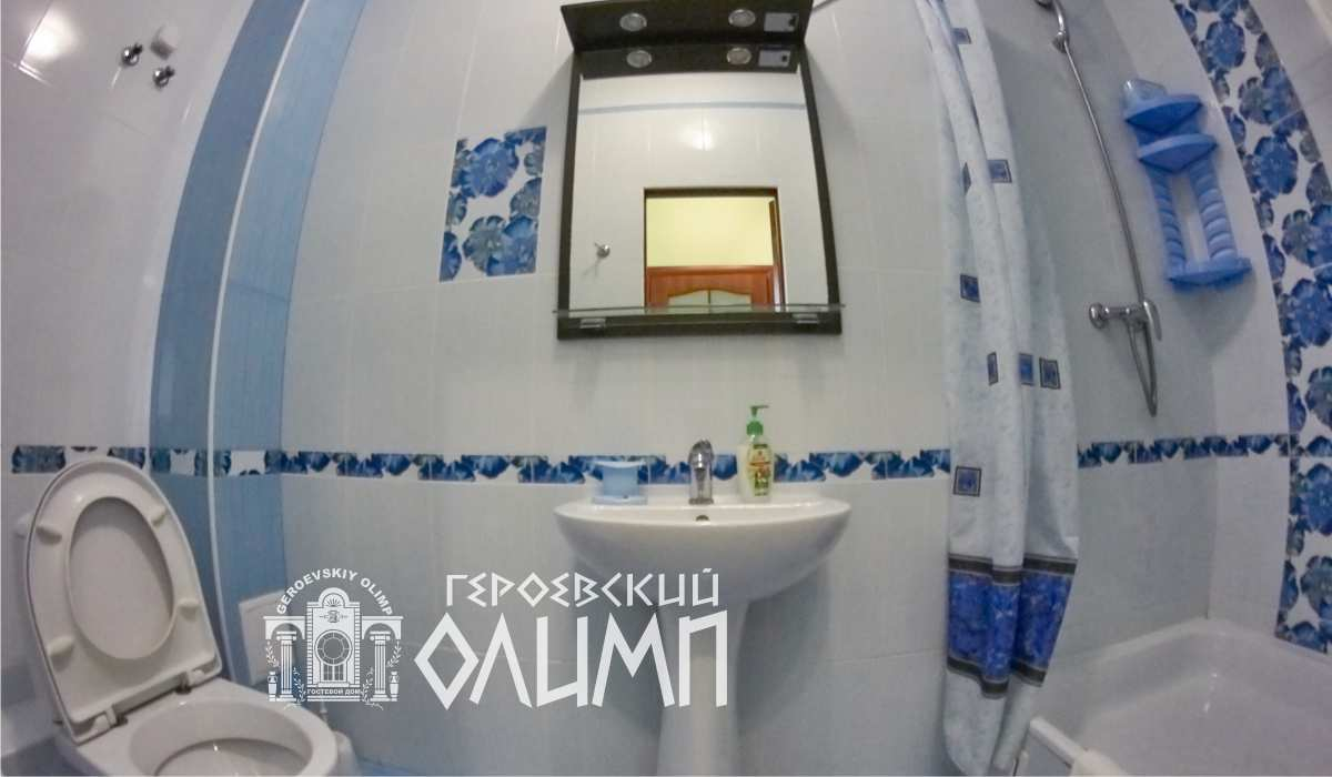 Санузел и душ с раковиной