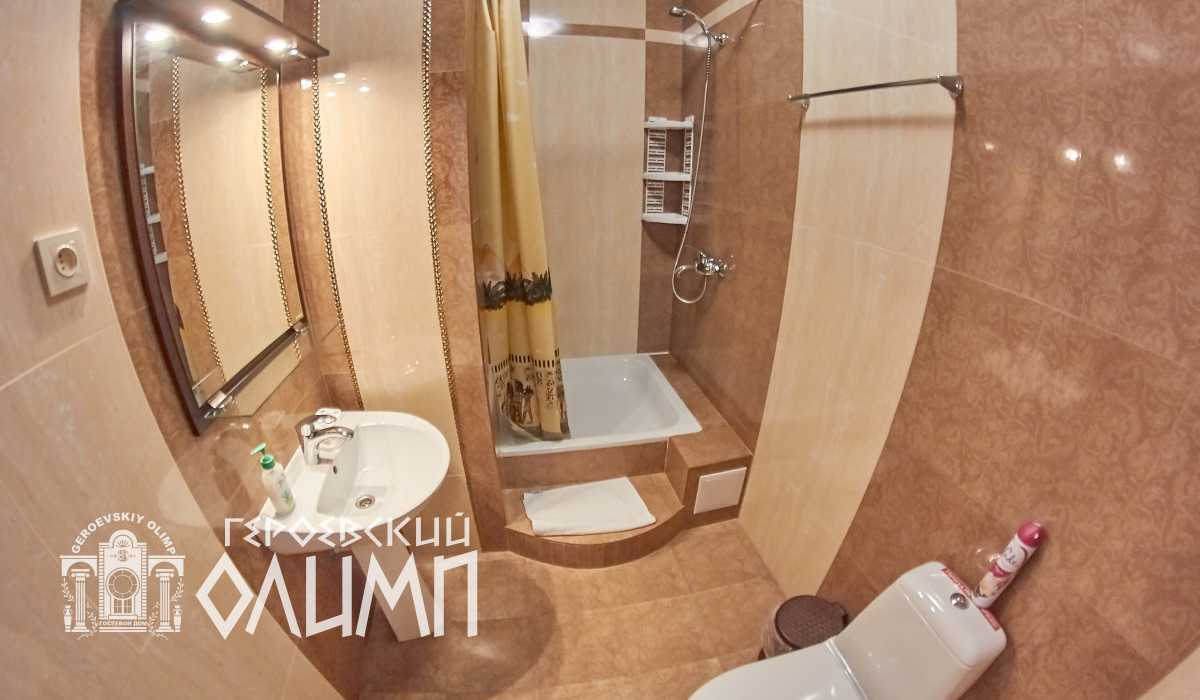 Санузел с душем и раковиной